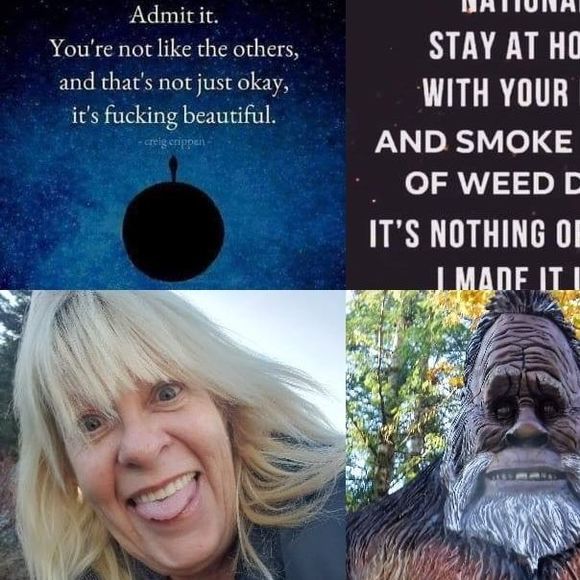 Meet your Posher, Robin - Picture 1 of 1